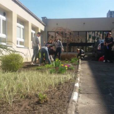 Projekt terenu zielonego przy szkole