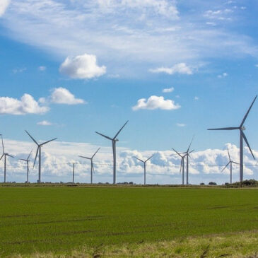 Zajęcia dla naszych uczniów w ramach projektu „Bałtycki Port Młodzieżowych Kompetencji”