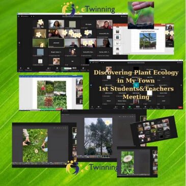 Projekt eTwinning „Discovering plant ecology in my town” – grudzień i styczeń