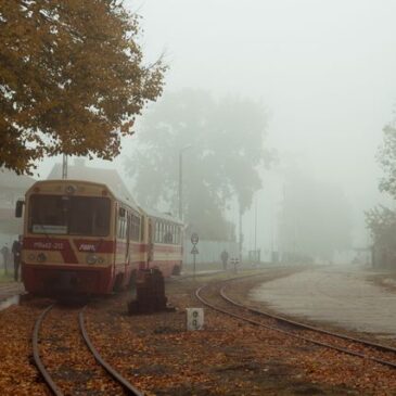 Wyniki konkursu fotograficznego „Kolej w obiektywie” 2025
