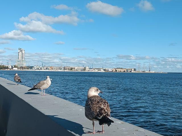 Konkurs „100 zdjęć na 100-lecie miasta”